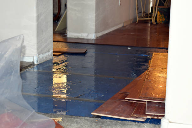 Professional Sewage Cleanup technician working in Steeleville, IL